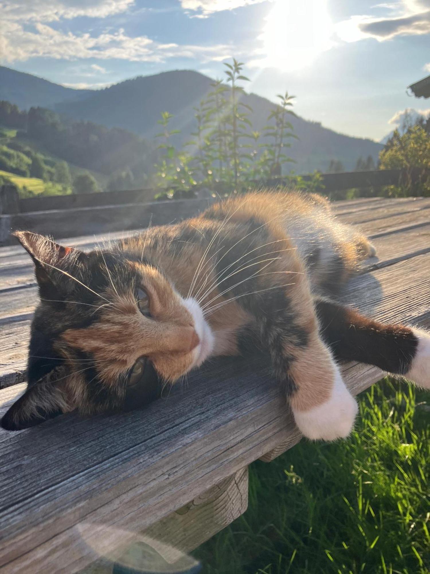 Viehhofbauer Villa Maria Alm am Steinernen Meer Bagian luar foto