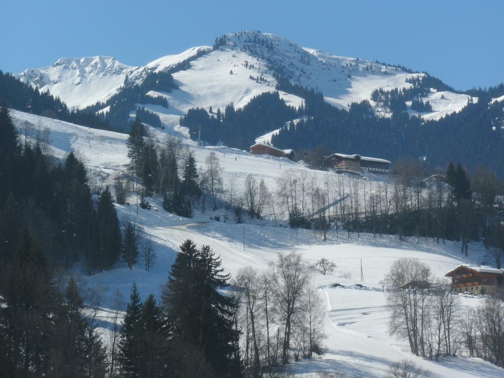 Viehhofbauer Villa Maria Alm am Steinernen Meer Bagian luar foto