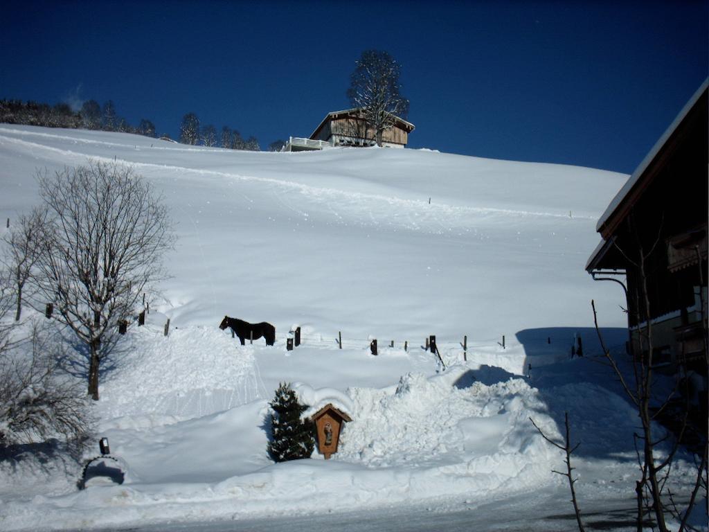 Viehhofbauer Villa Maria Alm am Steinernen Meer Bagian luar foto